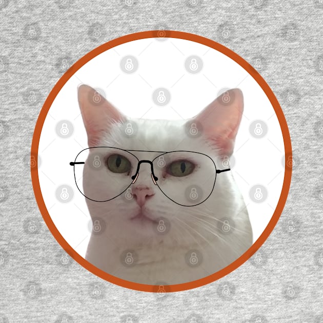 Cute Cat With Glasses by DiegoCarvalho